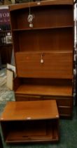 A retro mid-20th century bookcase;