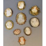 Jewellery - a Victorian shell cameo brooch,