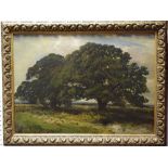 English School Sheep under the oak tree oil on canvas