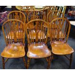 A set of eight elm hoop back chairs, shaped and pierced splat, saddle seat, turned legs,