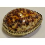 A 19th century Cowrie shell snuff box