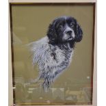 John N Clark, Springer Spaniel, gouache on board, framed, 75 cm x 62.