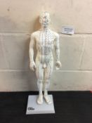 66Fit Human Male Acupuncture Model