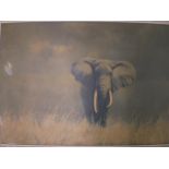 FRAMED DAVID SHEPHARD LITHOGRAPH TITLED ' WISE OLD ELEPHANT' ( 82 X 58 CM) A/F