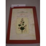 KEW POSTCARD ALBUM ( STAMPS )