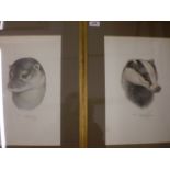 2 FRAMED AND SIGNED PRINTS BY PATRICK OXENHAM 'OTTER 253/750 AND BADGER 235/750