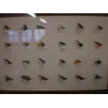 2 FRAMED COLLECTIONS OF FISHING FLIES