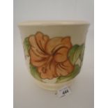 MOORCROFT POTTERY LARGE PLANTER DECORATED IN THE CORAL HIBISCUS PATTERN ON A CREAM BACKGROUND,