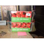 2 GROW YOUR OWN TOMATOES