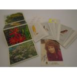 QUANTITY OF BIRD AND FLOWER POSTCARDS PLUS AUTOGRAPH OF JAN LEEMING