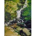 MAJELLA KEATING OIL ON BOARD OF TORC WATERFALL (51 X 65)CM