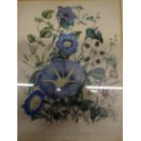 VINTAGE COLOURED PRINT OF FLOWERS