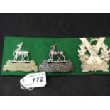 MILITARY CAP BADGES INCL TYNESIDE SCOTTISH (LUGS),