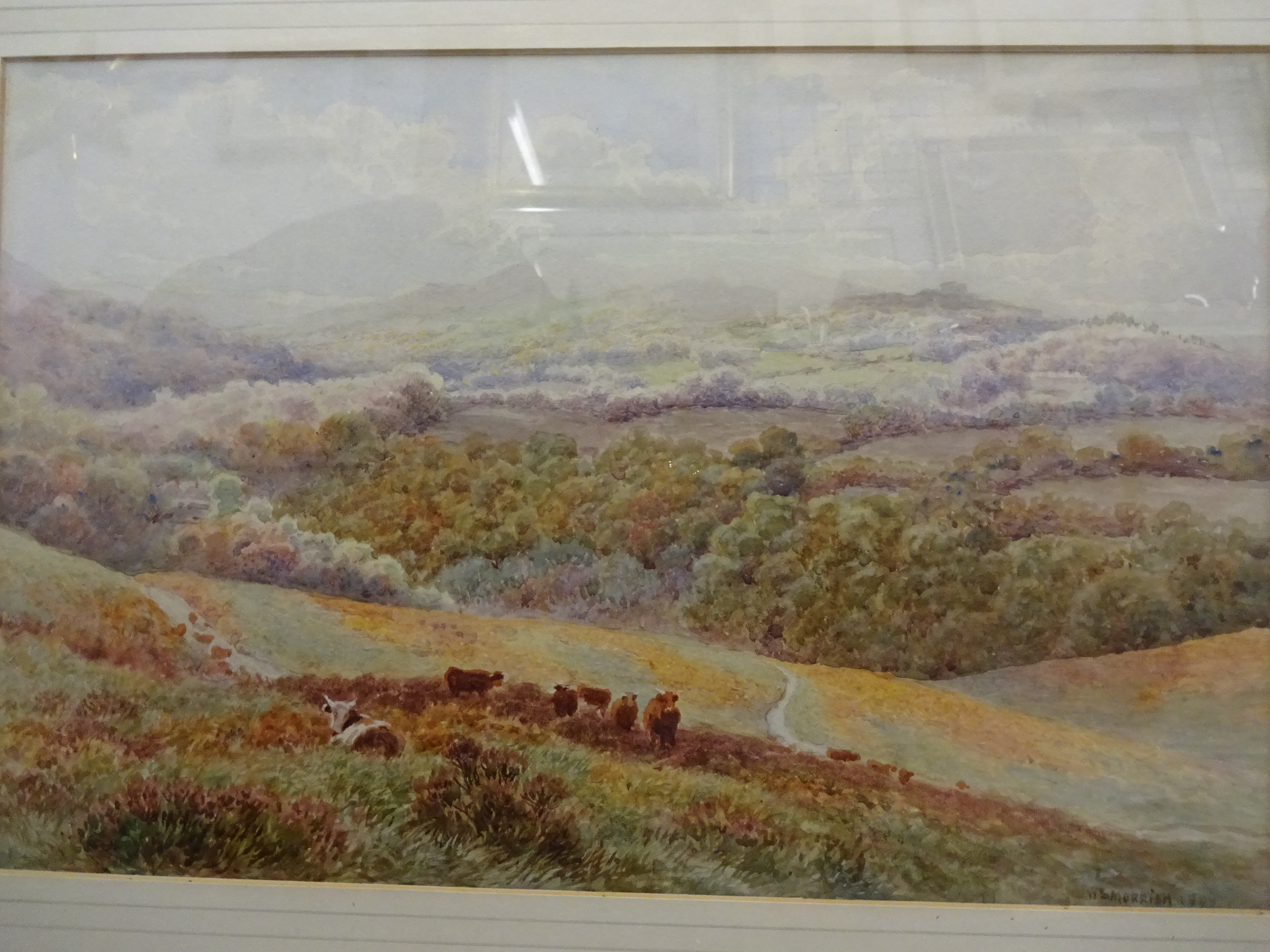 WILLIAM SIDNEY MORRISH (1844-1917) WATERCOLOUR OF LANDSCAPE WITH COWS SIGNED (64 X 50)CM