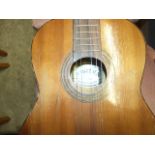 ANGELICA ACOUSTIC GUITAR SUPPLIED BY BOOSEY & HAWKES