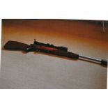 SAKO 22/250 RIFLE WITH 4X10X52 VARIABLE SCOPE AND SOUND MODERATOR