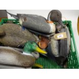 6 FLAT AND 6 FULL BODY DUCK DECOYS