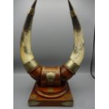 A DESK TROPHY OF A PAIR OF HORNS MOUNTED ON AN OAK PLINTH WITH 3 CUMBERLAND JACK TOKENS (1837)
