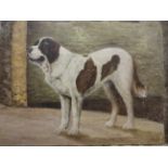 OIL ON BOARD OF ST BERNARD DOG (54 X 40)CM