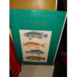 QUANTITY OF FISHING BOOKS