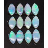 A collection of twelve Australian opals