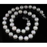 Cultured saltwater pearl necklace