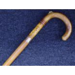 Crook handle walking stick