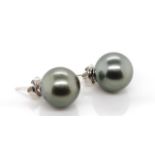 Pair of Tahitian pearl and white gold earrings