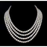 Cultured freshwater pearl four strand necklace