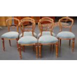 Set of 6 walnut balloon back chairs