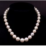 Broome pearl and 18ct gold necklace