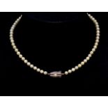 Mikimoto single strand pearl necklace