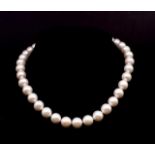 12mm Fresh water pearl necklace