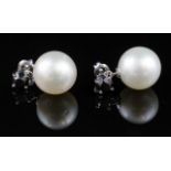 South sea pearl and black diamond earrings