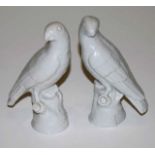 Two antique KPM porcelain birds