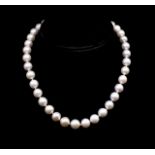 Good South Sea pearl (10-12mm) necklace