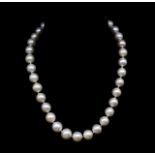 Broome pearl matinee length necklace