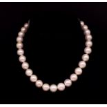 Freshwater pearl necklace