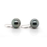 Tahitian pearl and 18ct white gold earrings