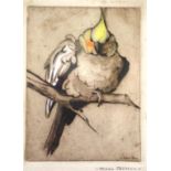 Hilda Birklen, etching of bird