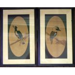 Pair of Magpie & Kookaburra, unsigned