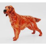 Royal Doulton figure of a Irish Setter