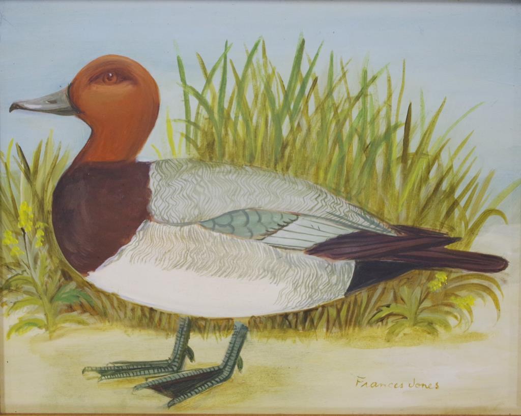 Frances Jones (1923-1999) Duck