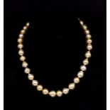 South sea "golden" pearl necklace