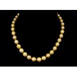 Golden South sea pearl necklace