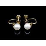 Mikimoto pearl and 14ct yellow gold earrings
