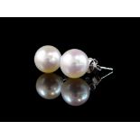 Pearl set 18ct white gold stud earrings