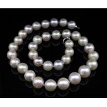 South sea pearl necklace