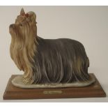 G. Armani Yorkshire terrier figurine