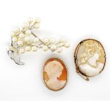 Carved cameo and pearl brooch group
